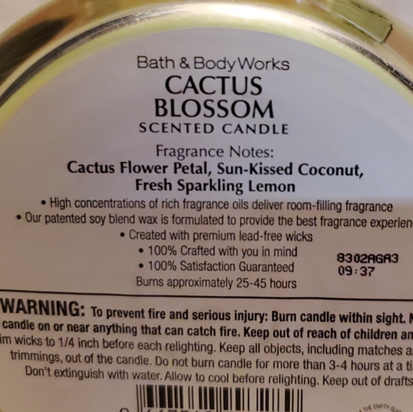 Cactus Blossom 3-Wick Candles - Picture 2 of 3